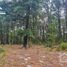  Land for sale in Mineral Del Chico, Hidalgo, Mineral Del Chico