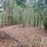  Land for sale in Mineral Del Chico, Hidalgo, Mineral Del Chico