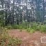  Land for sale in Mineral Del Chico, Hidalgo, Mineral Del Chico