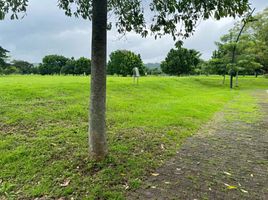  Land for sale in Calamba City, Calabarzon, Calamba City