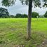  Land for sale in Calamba City, Calabarzon, Calamba City
