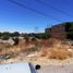  Land for sale in Pinos, Zacatecas, Pinos, Zacatecas
