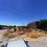  Land for sale in Pinos, Zacatecas, Pinos, Zacatecas