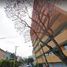 2 Habitación Apartamento en venta en Miguel Hidalgo, Ciudad de México, Miguel Hidalgo