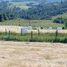  Terreno (Parcela) en venta en Llanquihue, Los Lagos, Los Muermos, Llanquihue