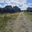  Terreno (Parcela) en venta en Chile, Puerto Montt, Llanquihue, Los Lagos, Chile