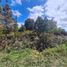  Terreno (Parcela) en venta en Chile, Puerto Montt, Llanquihue, Los Lagos, Chile