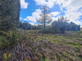  Terreno (Parcela) en venta en Chile, Puerto Montt, Llanquihue, Los Lagos, Chile