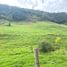  Land for sale in Tarqui, Azuay, Tarqui