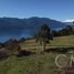  Terreno (Parcela) en venta en Los Ríos, Panguipulli, Valdivia, Los Ríos