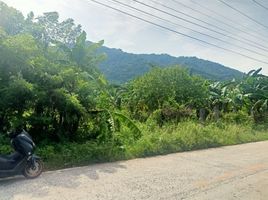  Grundstück zu verkaufen in Laguna, Calabarzon, Pangil, Laguna