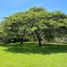  Terreno (Parcela) en venta en Cumbaya, Pichincha, Cumbaya