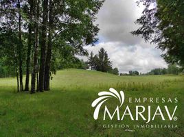  Terreno (Parcela) en venta en Chile, Villarrica, Cautín, Araucanía, Chile