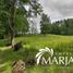  Terreno (Parcela) en venta en Chile, Villarrica, Cautín, Araucanía, Chile