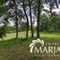  Terreno (Parcela) en venta en Chile, Villarrica, Cautín, Araucanía, Chile