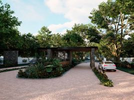  Land for sale in Valladolid, Yucatan, Valladolid