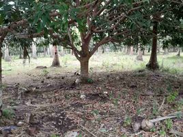  Land for sale in San Juan, Batangas, San Juan