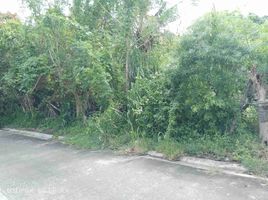  Land for sale in Calamba City, Laguna, Calamba City