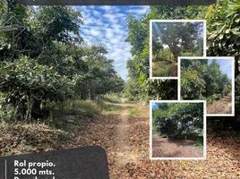  Land for sale in Valparaiso, Quillota, Quillota, Valparaiso