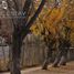  Terreno (Parcela) en venta en Los Andes, Valparaíso, Los Andes, Los Andes