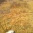  Land for sale in Tulancingo De Bravo, Hidalgo, Tulancingo De Bravo