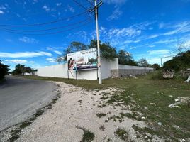  Grundstück zu verkaufen in Progreso, Yucatan, Progreso