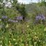  Land for sale in Mineral Del Chico, Hidalgo, Mineral Del Chico