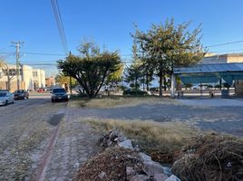  Grundstück zu verkaufen in Allende, Guanajuato, Allende