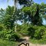  Land for sale in Bohol, Central Visayas, Tagbilaran City, Bohol