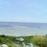  Terreno (Parcela) en venta en Othon P Blanco, Quintana Roo, Othon P Blanco, Quintana Roo