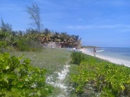 Terreno (Parcela) en venta en Othon P Blanco, Quintana Roo, Othon P Blanco, Quintana Roo