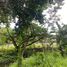  Land for sale in Muntinlupa City, Metro Manila, Muntinlupa City