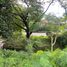  Land for sale in Muntinlupa City, Metro Manila, Muntinlupa City