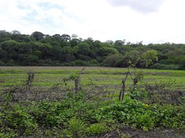  Land for sale in Ecuador, Portoviejo, Portoviejo, Manabi, Ecuador