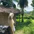  Terreno (Parcela) en venta en Cebu City, Central Visayas, Cebu City, Cebu, Central Visayas