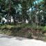  Land for sale in Bohol, Central Visayas, Tagbilaran City, Bohol