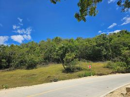  Land for sale in Bohol, Central Visayas, Corella, Bohol