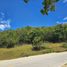  Land for sale in Corella, Central Visayas, Corella