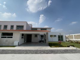 Maison 4 chambre à vendre à Toluca, Mexico, Toluca