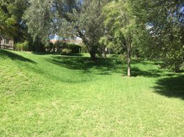  Terreno (Parcela) en venta en Cumbaya, Pichincha, Cumbaya