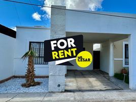 在Hermosillo, Sonora出租的2 卧室 屋, Hermosillo