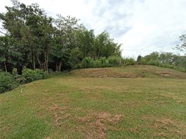  Land for sale in Filadelfia, Caldas, Filadelfia