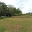  Land for sale in Filadelfia, Caldas, Filadelfia