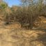  Land for sale in Dist Pochutla, Oaxaca, Dist Pochutla, Oaxaca