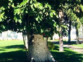  Terreno (Parcela) en venta en Zapopan, Jalisco, Zapopan