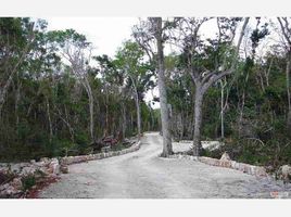  Terreno (Parcela) en venta en Cozumel, Quintana Roo, Cozumel, Quintana Roo