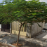 Maison 3 chambre à vendre à Matamoros, Coahuila, Matamoros