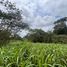  Casa en venta en San Miguel de los Bancos, Pichincha, San Miguel De Los Bancos, San Miguel de los Bancos