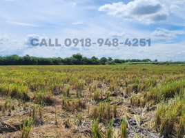  Land for sale in Tarlac, Central Luzon, Tarlac City, Tarlac