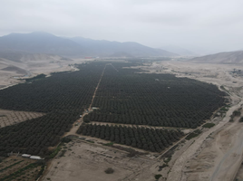  Terreno (Parcela) en venta en Cañete, Lima, Chilca, Cañete